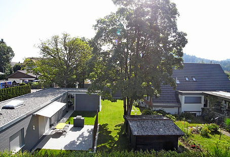 R0013993.JPG