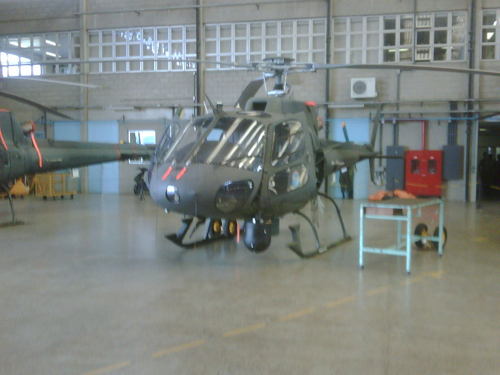 img00663-20100531-1242