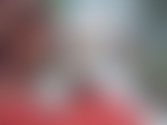 October 2022: To be a dog in Congo, Uganda SPCA in need, & a lucky puppy