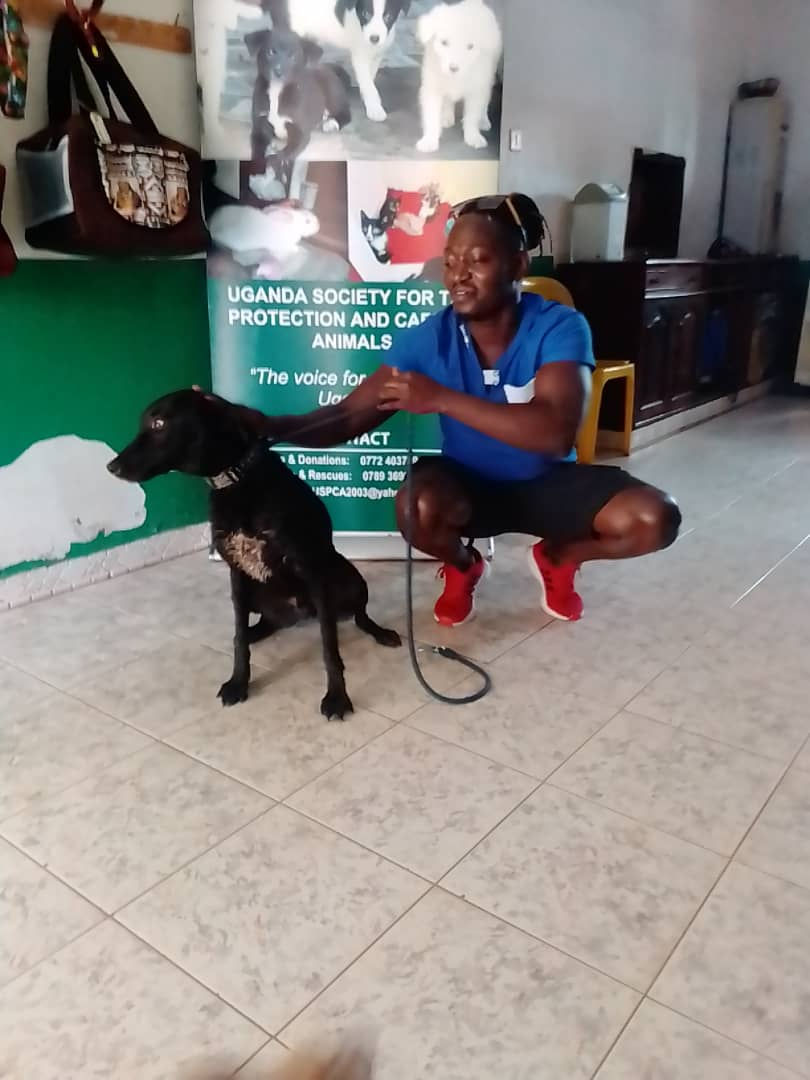 dog and adopter