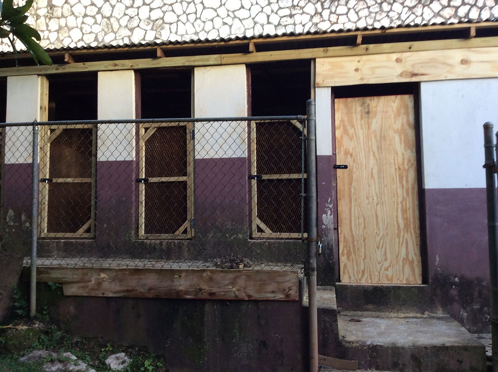 Kennel renovations as of June 15