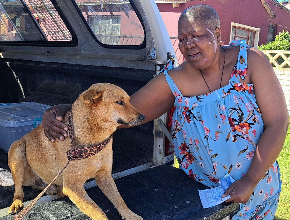 A woman lovingly holds her arm around a dog's neck in a truck bed in South Africa. 