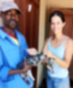 Vaccinating a rescued cat at the Namibia cat house sanctuary.