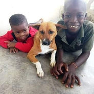 AKI Support to Liberia Animal Welfare & Conservation Society-helping before and during covid-19