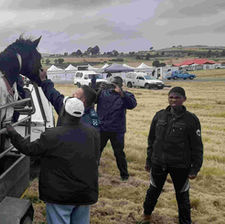 Two horses in the back of a pick up truck at a horse racing event in South Africa.
