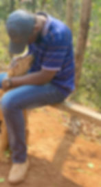 dog at shelter