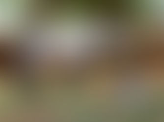 July & August 2021: Announcing our 2021 Africa-Based Grant Recipients