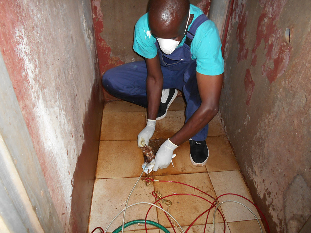 Alex rescues a tiny kitten, 1 of 2 stuck at the bottom of a pit latrine