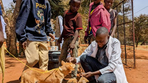 Man in white coat kneels feeding a dog and puppies while 4 kids watch, smiling. Set on red earth with trees and a fence in the background in Tanzania.