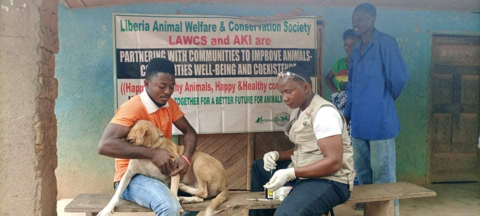 animal care clinic