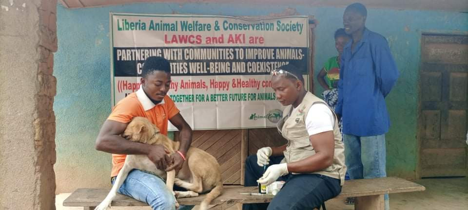 animal care clinic