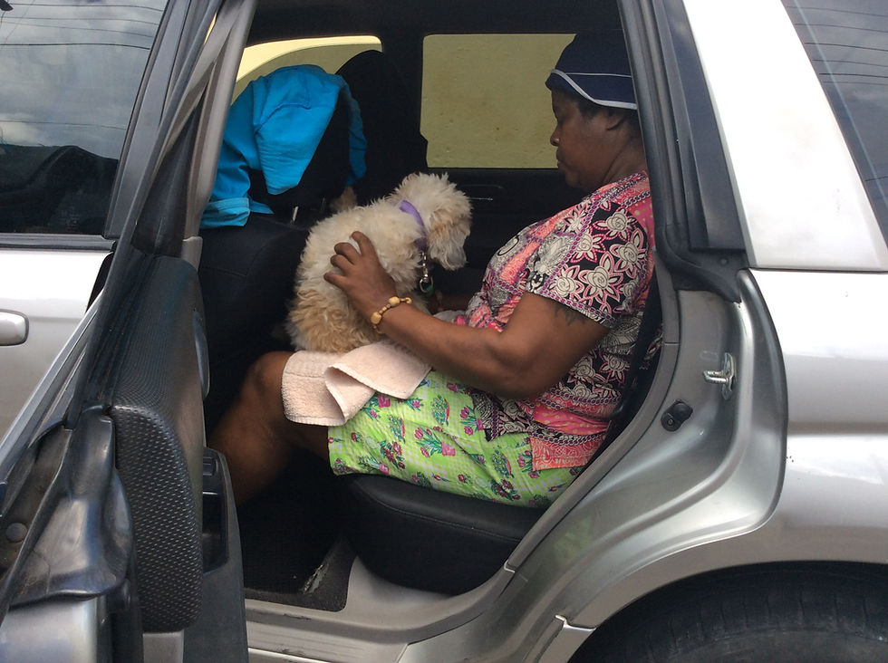 Samson-on his way to a better life