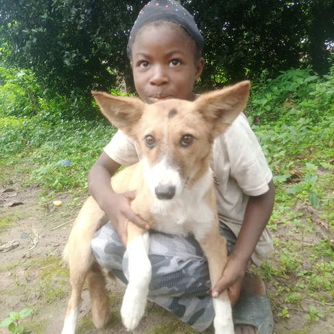 A young girl kneeling with a dog on her lap in Liberia.