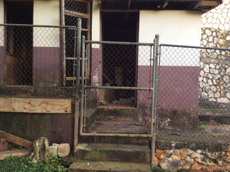 KCAW kennels: before