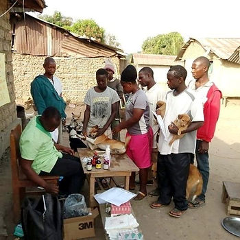 Providing basic animal care