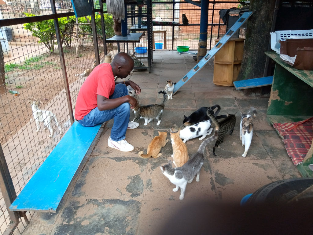 Uganda Society for the Protection and Care of Animal | Animal Kind