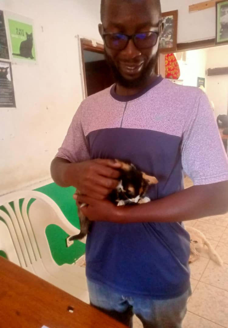This kitty was adopted from the Uganda SPCA shelter