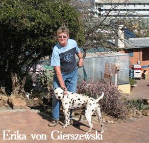 Our animal rescue and protection organization liaison for Namibia Africa petting a Dalmatian dog.