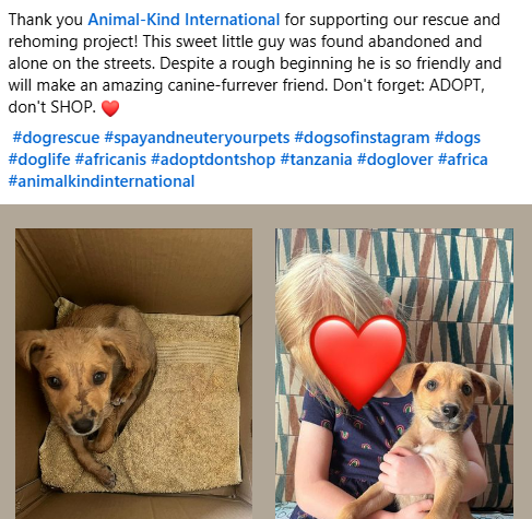 A social media post about AKI's grant supports LAZAWO's rescue and rehoming work in Tanzania