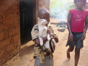 AKI Supports Student-Led Animal Kindness Projects in Liberia