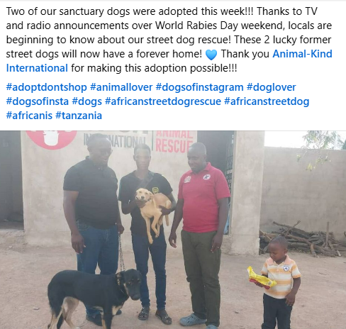 A social media post about two dogs adopted: expanding LAZAWO's adoption program is part of our grant to this Tanzanian org