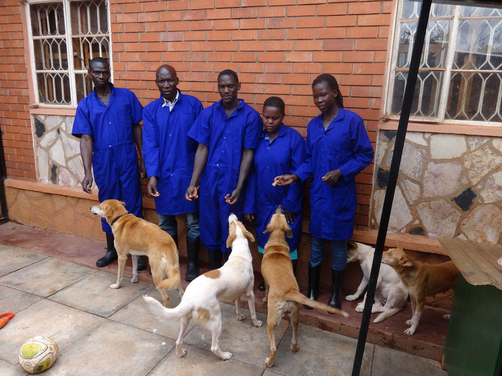 Your donations at work for Uganda SPCA