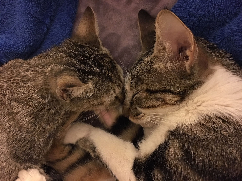 Olive (on the right) and friend
