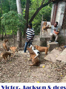 Two people and eight dogs of different colors and patterns outside with trees in the background in Haiti.