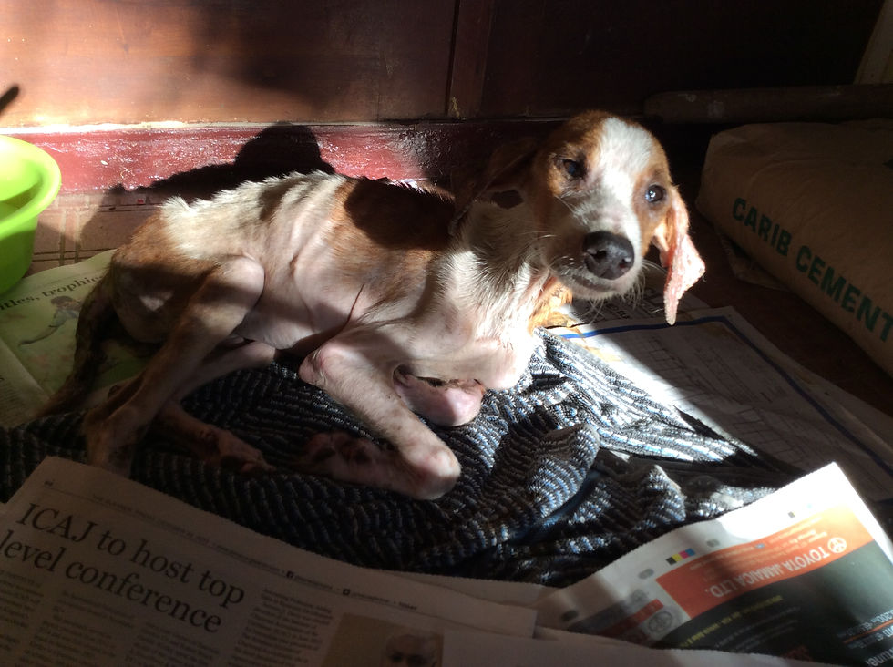 Trugg recovering