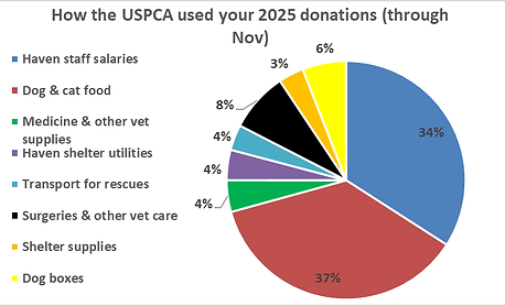 A very colorful pie chart showing that the Uganda SPCA spent almost three quarters of AKI funds on dog and cat food and shelter staff salaries through November 2025. 