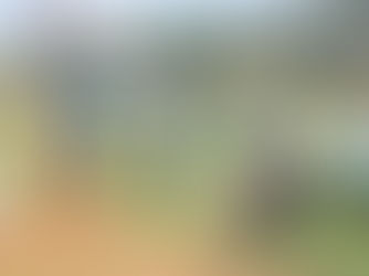 Five people with dogs on leashes on a grassy field in Uganda.