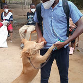 Liberia Animal Welfare & Conservation Society: October 2022