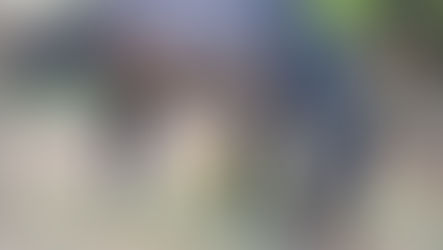 February 2024: Our 2023 report-animal welfare achievements! 