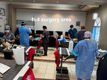 Vets in scrubs are attending to animals on surgery tables in a white tiled room in Honduras.