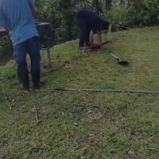Two men are working outdoors in a grassy environment with trees in the background in Costa Rica.