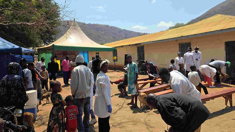 People and dogs gather outdoors for a vaccination drive under a tent in Tanzania.