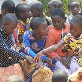 Sauvons nos Animaux-Animal Friendly Camp 2022
