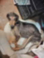 Bartolo soon after he arrived at HHHH from ARCA