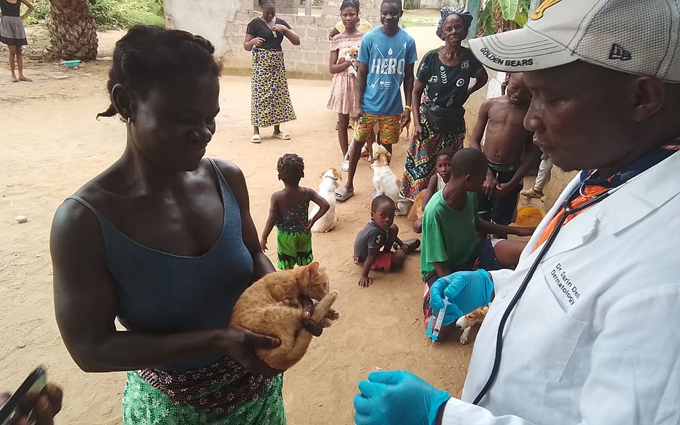 A woman holds a cat as a man prepares a syringe outdoors where people and dogs stand around on sandy ground in Liberia.