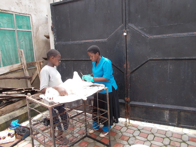 The TAWESO vet prepares for surgery