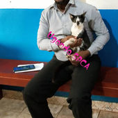 How you're helping cats & dogs at Uganda SPCA