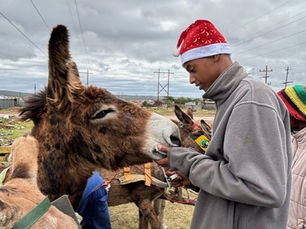 A person in a Santa cap kindly holds a donkeys snout in South Africa.