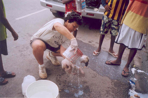 mange treatment