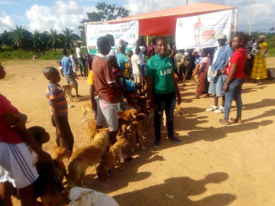 Waiting for rabies vaccinations