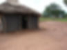 An alert dog in front of a house in South Sudan where our animal rescue and protection meeting took place.