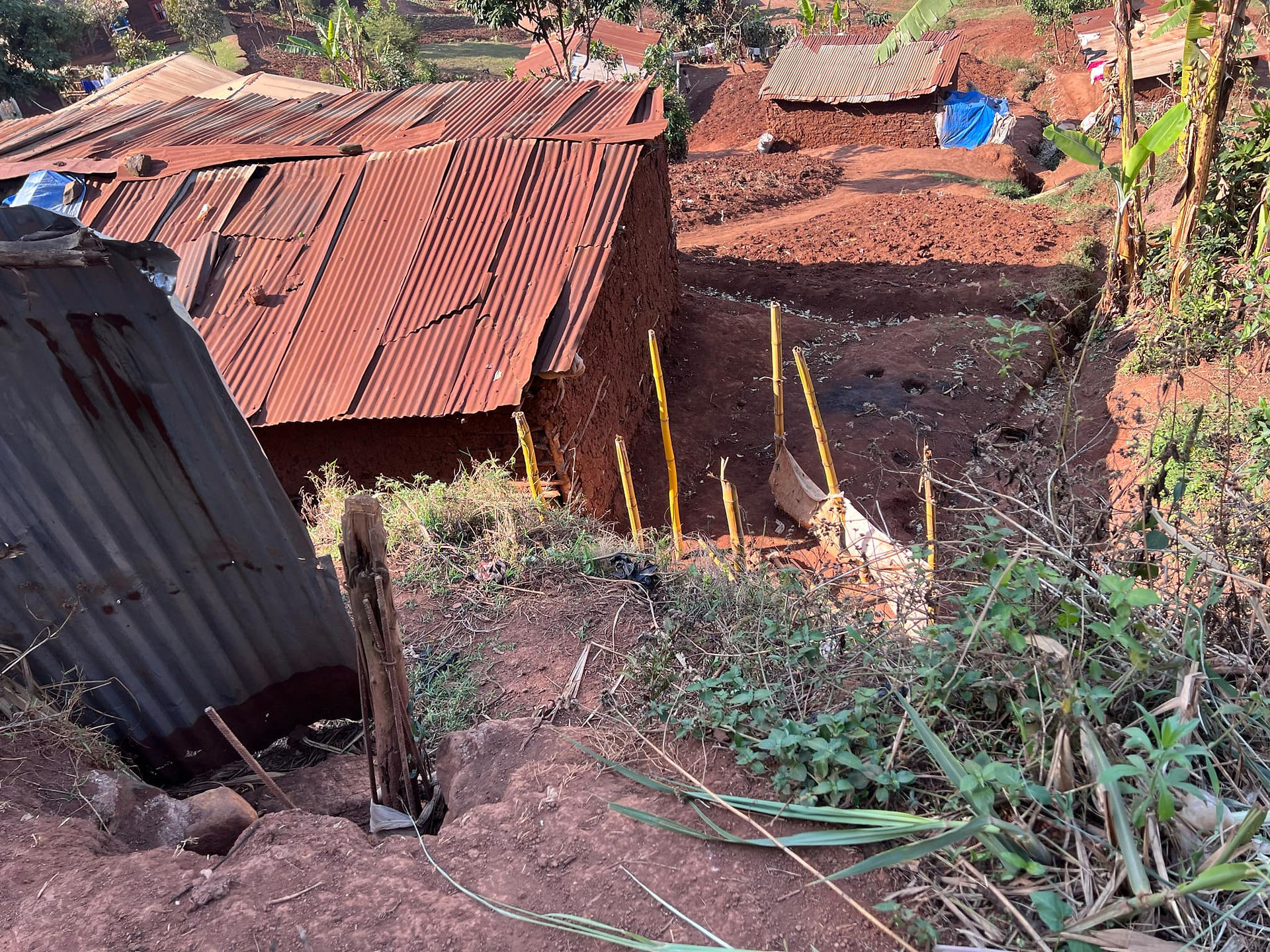 The fence around the animal shelter has fallen and there are many gaps.