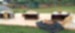 Dogs sleeping on the top of wooden boxes at the animal shelter in Uganda in Africa.