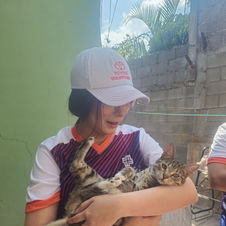 A woman gently cradling a tiger striped cat in Honduras.