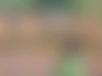 Several women lined up holding burlap sacks and standing on sandy ground with 2 men and a young boy looking at them in Uganda.