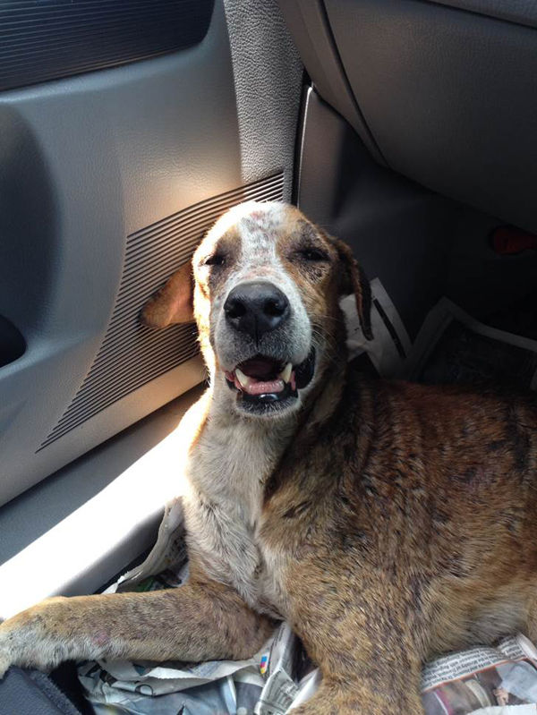 Ralph's last ride